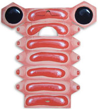 this is a boxdoodle.