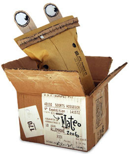 this is a boxdoodle.