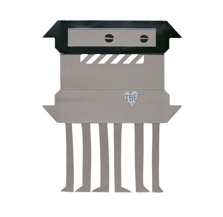 this is a boxdoodle.