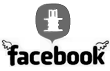 visit my little boxdoodle facebook group